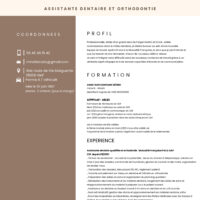 Vignette pour l'image de la liste principale